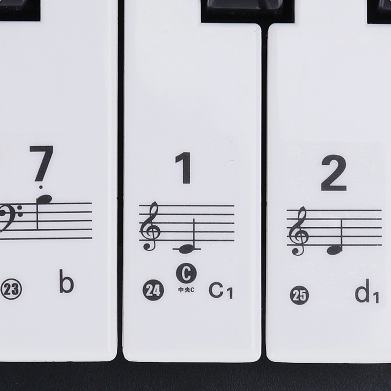 Stiker Keyboard Piano Transpar - Keyboard Piano 61 Key ulasan dan harga